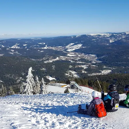 Am Hohen Bogen-41 By Interhome Apartament *